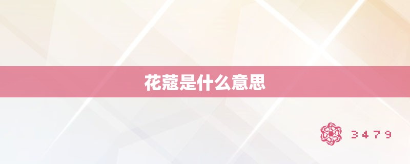 花蔻是什么意思